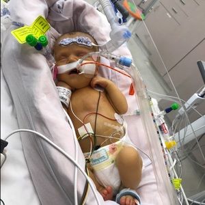 Meet your Posher, Lori